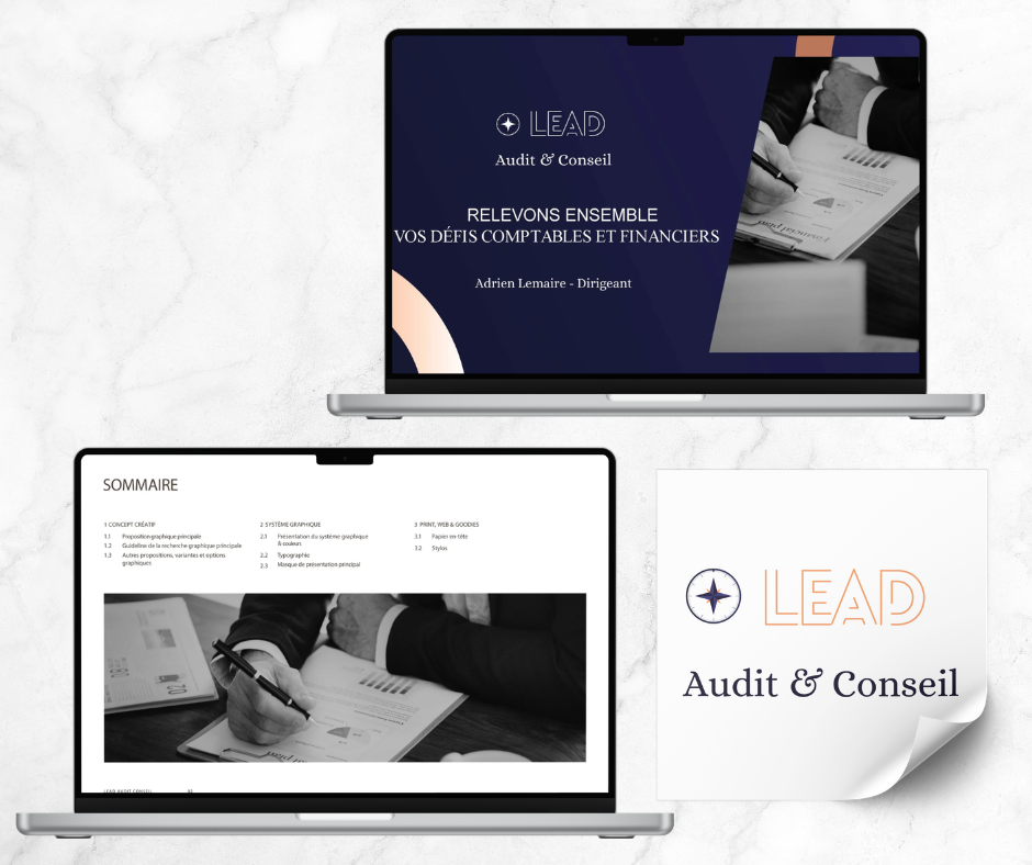 Lead Audit & Conseil